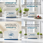 Four-panel promotional layout showing VitroCapN supplement boxes on a bright white surface with small potted plants and fruit. Text highlights targeted delivery for visual support, natural selected support for eyes, supporting a clear internal perspective, and selected micronutrients with uncompromised purity.