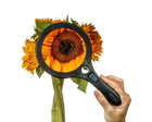Carson magnifying glass viewing a sunflower's details up close-ocular express